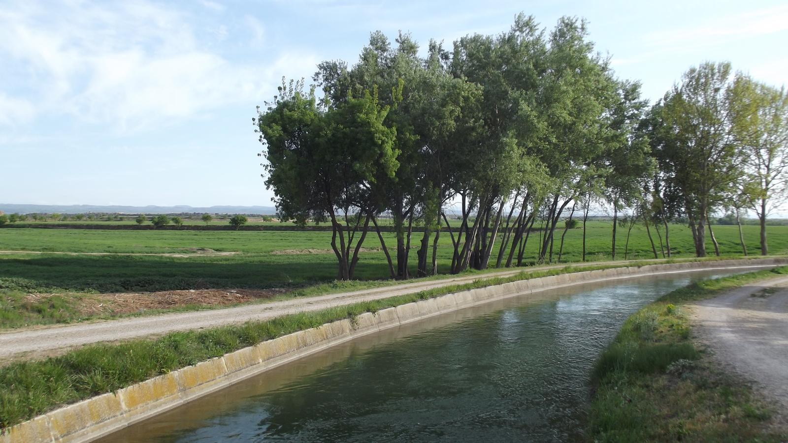 Canal de la plana de Lleida