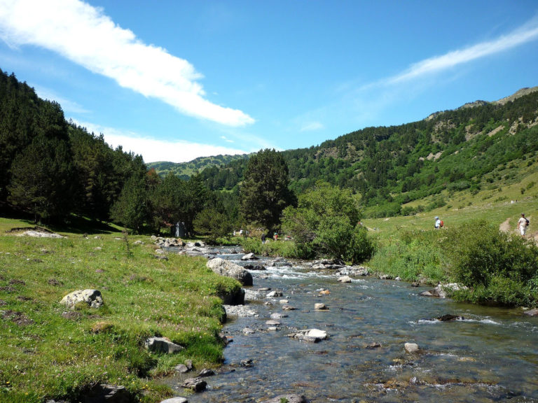 El riu Noguera Pallaresa al seu pas per Montgarri