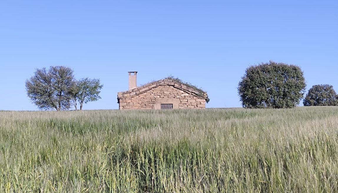 Cabanes al pla de lleida - Lleida rural