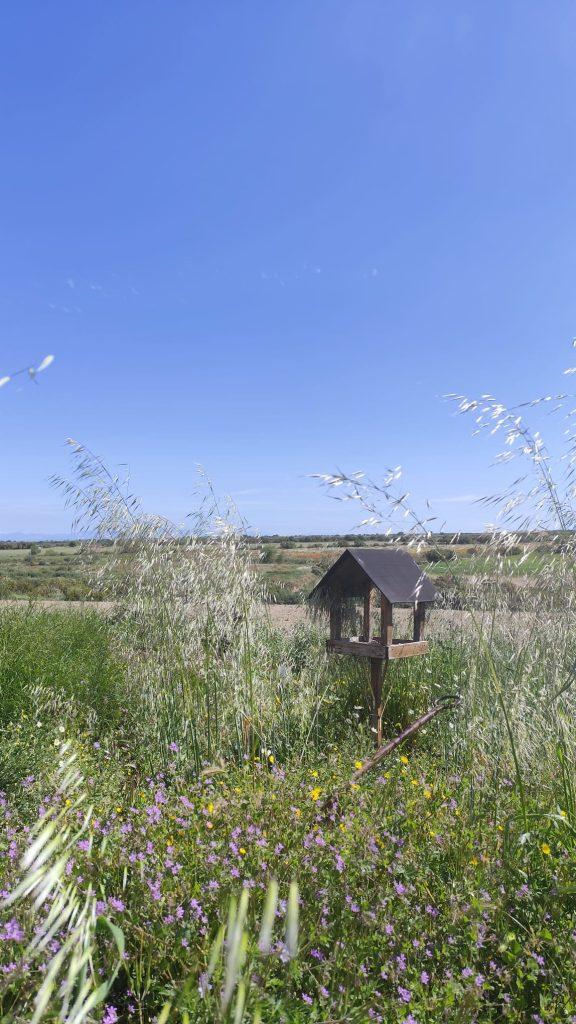 maig a la plana Lleida rural