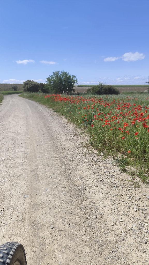 pistes per fer a peu o en bici - Lleida rural