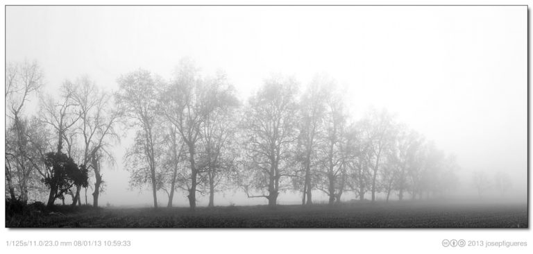 Boira, foto: Josep Figueres https://www.fotolibre.org/displayimage.php?album=237&pid=17073
