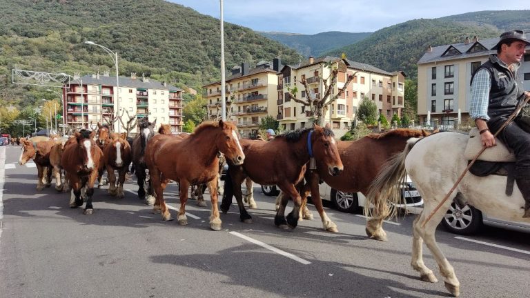 Pas dels cavalls per Sort